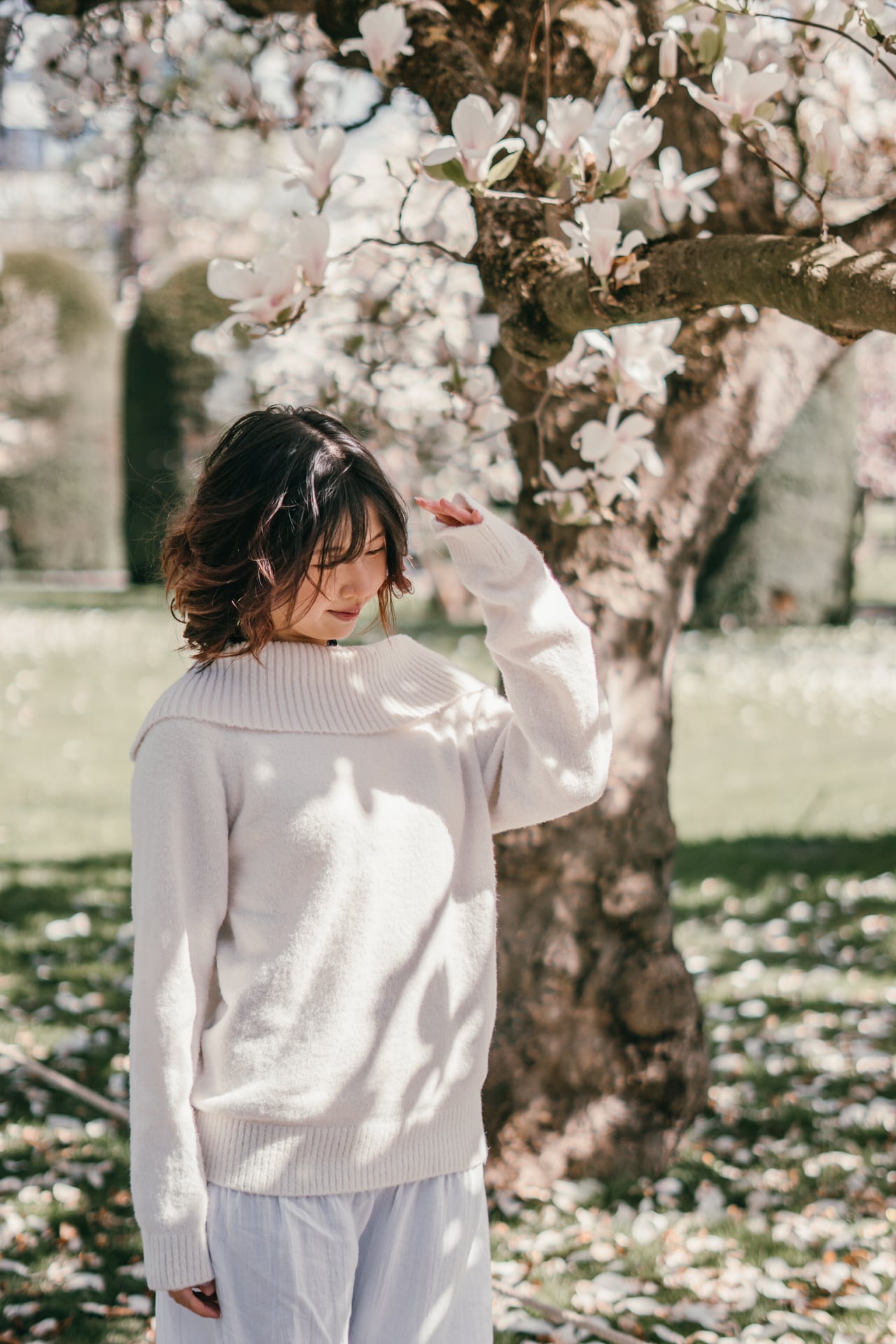 Photo 3 from album 17